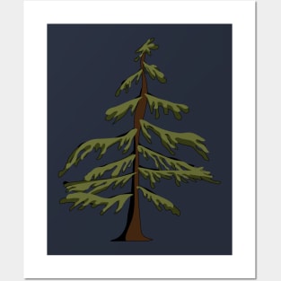 western hemlock tree Posters and Art